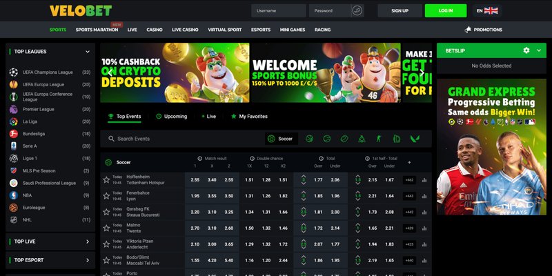 Introduction: Mobile Gaming Hits the Main Street